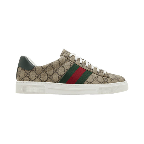 Gucci Ace GG Supreme Web – Beige / Ebony / Green / Red – product view